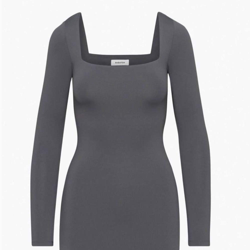 Aritzia Babaton Long Sleeve Dress